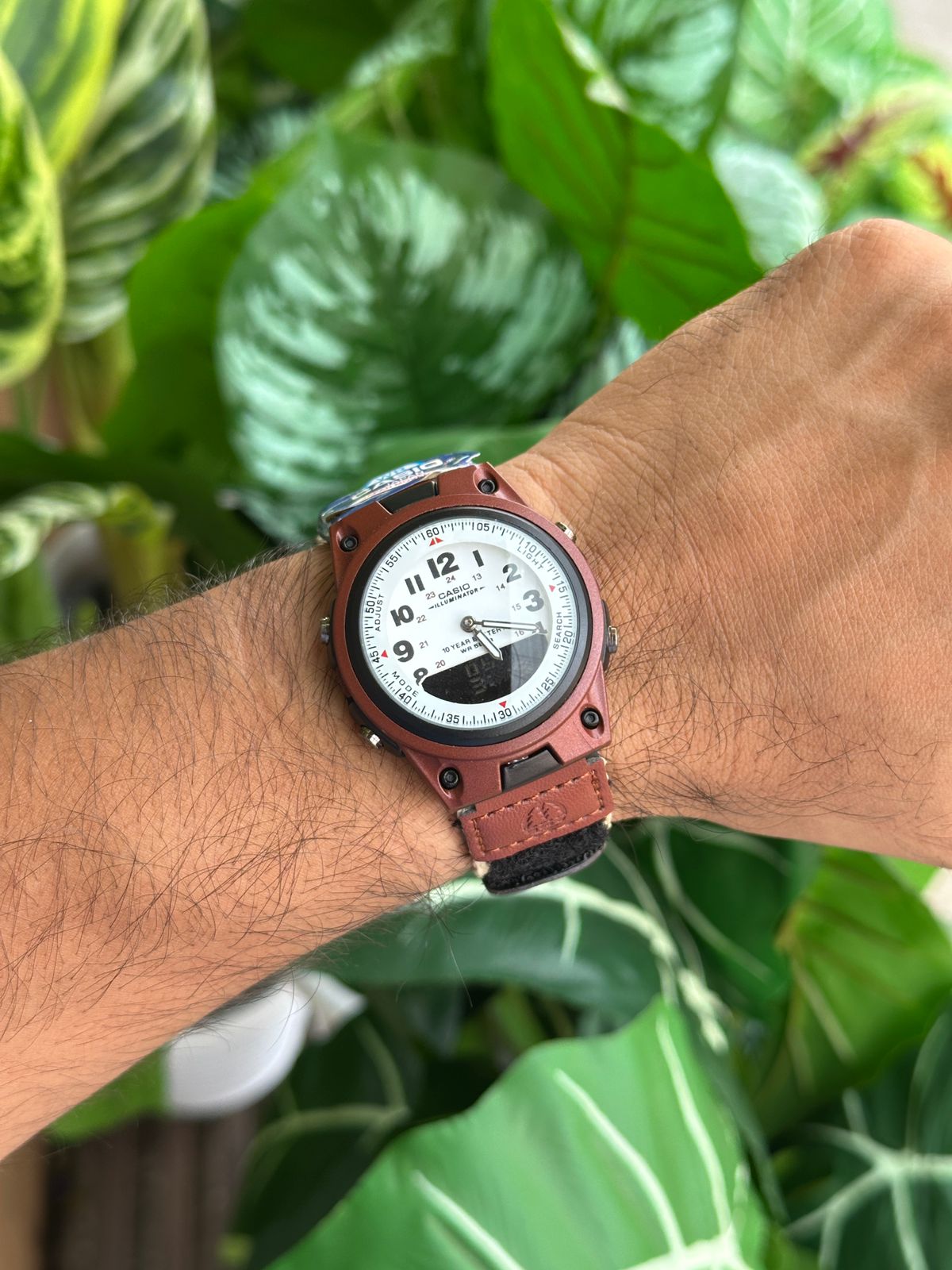CASIO AW-80V-3BJH Watch