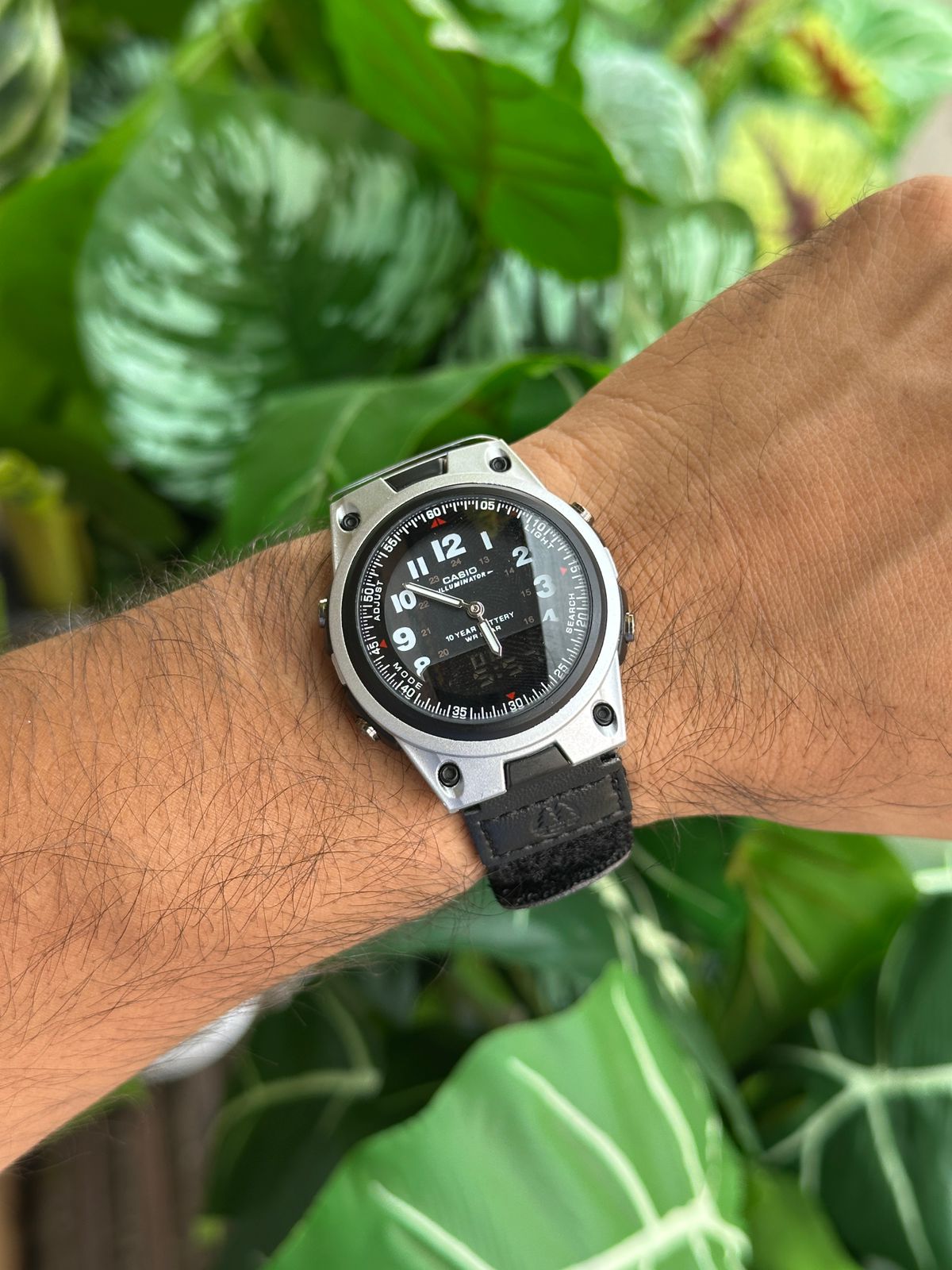 CASIO AW-80V-3BJH Watch