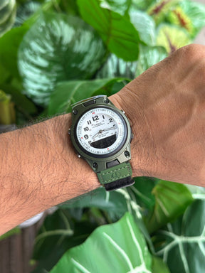 CASIO AW-80V-3BJH Watch
